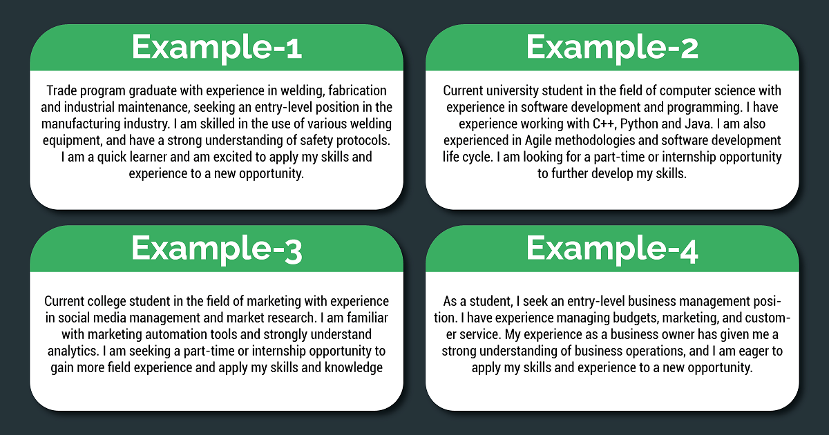 How To Write Beginner Summary For Resume With Examples - Royal Recruiter